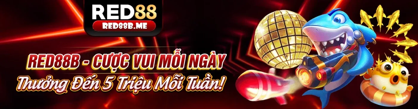 Hình ảnh Chính Sách Quyền Riêng Tư của vnd555 win